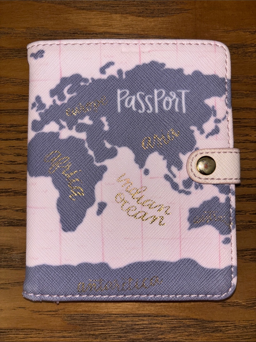 Passport Pink Travel Wallet with Blue World Map and Gold Accents